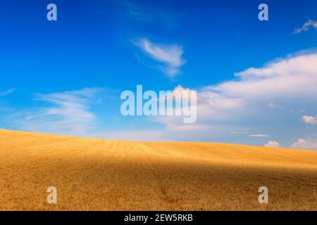 LÄNDLICHE LANDSCHAFT SOMMER.Zwischen Apulien und Basilicata: Landschaft mit Kornfeld im Schatten von Wolken.ITALIEN Stockfoto