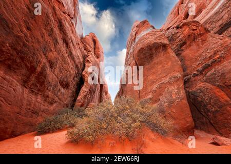 Weg zwischen Sandsteinformation zum Sand Dune Arch, Arches National Park Utah Stockfoto