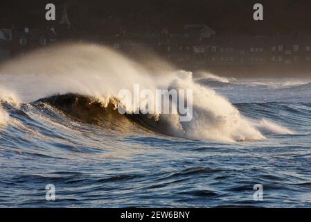 Breaking Wave, Stonehaven Bay, Aberdeenshire, Schottland Stockfoto