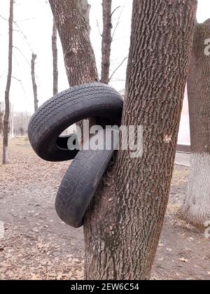 Zwei gebrauchte Autoreifen sind auf einem Baumstamm in einem Stadtpark gekleidet. Stockfoto