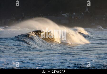 Breaking Wave, Stonehaven Bay, Aberdeenshire, Schottland Stockfoto