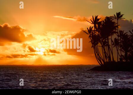 Spektakulärer Sonnenaufgang über dem Pazifischen Ozean mit umsäumten Palmen, Gruppenaufgänge entlang der idyllischen Küste, Oahu, Honolulu, Hawaii, USA Stockfoto