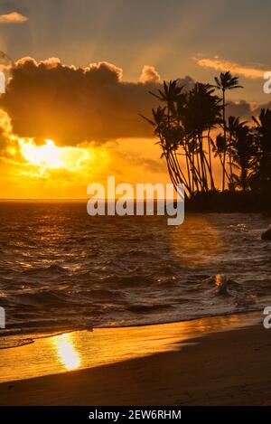 Spektakulärer Sonnenaufgang über dem Pazifischen Ozean mit umsäumten Palmen, Gruppenaufgänge entlang der idyllischen Küste, Oahu, Honolulu, Hawaii, USA Stockfoto