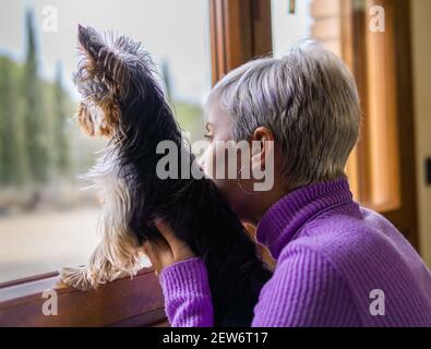 Ein flacher Fokus einer erwachsenen Frau mit kurzem Platin Blonde Haare, die mit ihrer Yorkshire aus dem Fenster schauen Terrier Stockfoto