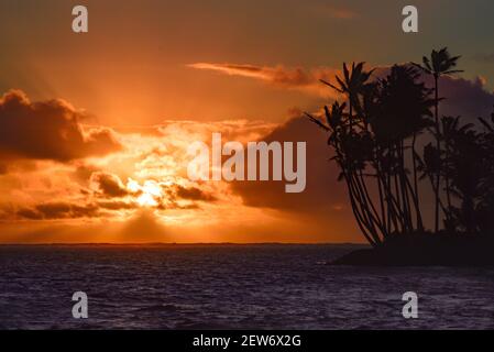 Spektakulärer Sonnenaufgang über dem Pazifischen Ozean mit umsäumten Palmen, Gruppenaufgänge entlang der idyllischen Küste, Oahu, Honolulu, Hawaii, USA Stockfoto