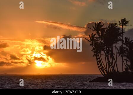 Spektakulärer Sonnenaufgang über dem Pazifischen Ozean mit umsäumten Palmen, Gruppenaufgänge entlang der idyllischen Küste, Oahu, Honolulu, Hawaii, USA Stockfoto