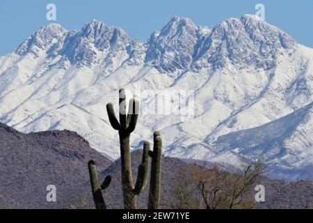 Das wunderschöne Wildnisgebiet Four Peaks in der Superstition Range östlich von Phoenix Arizona sieht besonders prächtig aus mit einer seltenen Schneedecke. Stockfoto