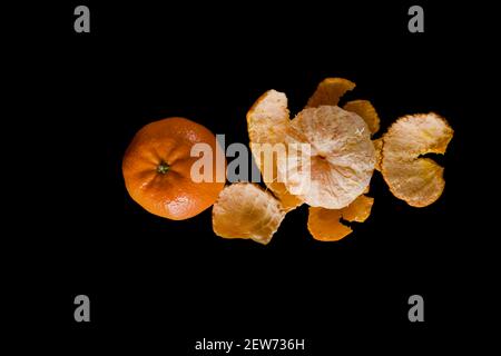 Die reife Frucht der Zitruspflanze Mandarine, geschält und auch nicht geschält auf schwarzem Hintergrund Stockfoto