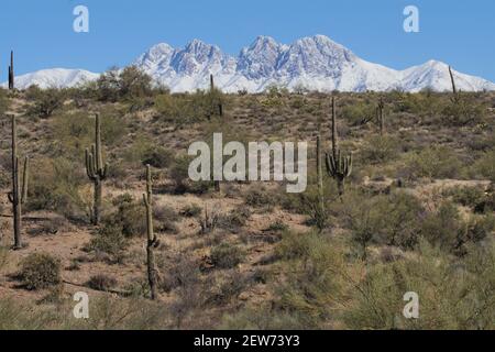 Das wunderschöne Wildnisgebiet Four Peaks in der Superstition Range östlich von Phoenix Arizona sieht besonders prächtig aus mit einer seltenen Schneedecke. Stockfoto