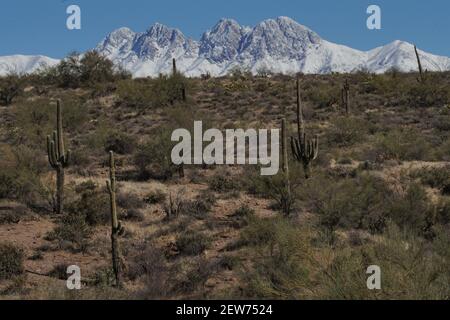 Das wunderschöne Wildnisgebiet Four Peaks in der Superstition Range östlich von Phoenix Arizona sieht besonders prächtig aus mit einer seltenen Schneedecke. Stockfoto