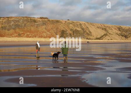 Spaziergänger mit Hunden am Strand im St Cyrus National Nature Reserve, Aberdeenshire, Schottland Stockfoto