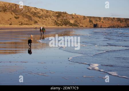 Spaziergänger mit Hunden am Strand im St Cyrus National Nature Reserve, Aberdeenshire, Schottland Stockfoto