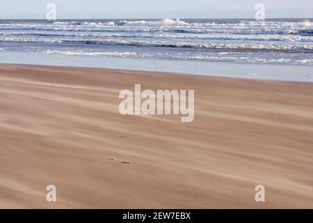 Wind weht Sand entlang des Strandes, St Cyrus National Nature Reserve, Aberdeenshire, Schottland Stockfoto