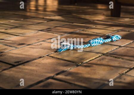 Hund Seil Kauspielzeug liegt auf der Terrasse Boden unter Sonnenlicht Stockfoto