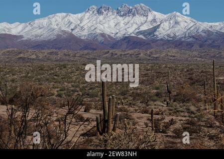 Das wunderschöne Wildnisgebiet Four Peaks in der Superstition Range östlich von Phoenix Arizona sieht besonders prächtig aus mit einer seltenen Schneedecke. Stockfoto