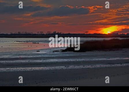 Dramatischer Sonnenuntergang im Jamaica Bay Wildlife Refuge mit Brent Gänsen Stockfoto