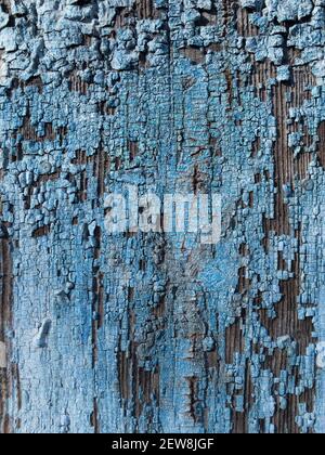 Alte vintage hölzerne Oberfläche blau Textur Hintergrund Vorderansicht gemalt Stockfoto