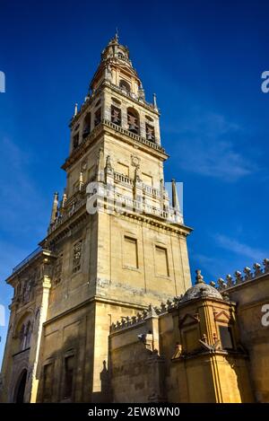 Glockenturm der Mezquita, Cordoba, Andalusien, Spanien Stockfoto