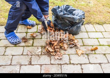 Verlieren Sie den Blick auf die Menschen sammeln letztes Jahr Laub. Konzept der Frühjahrssaison. Stockfoto