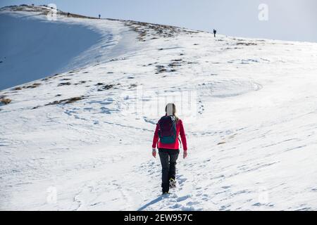 Weibliche Tourist in roter Jacke und Rucksack geht an die Spitze. Stockfoto