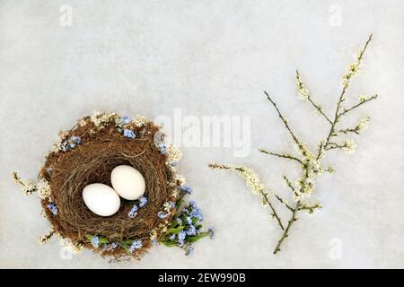 Symbole des Frühlings mit natürlichen Vögeln Nest, weiße Eier, Schlehdornblüten & Vergiss mich nicht Blumen auf meliertem grauen Hintergrund. Zen-Konzept. Flach liegend, t Stockfoto