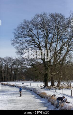 ZUTPHEN, NIEDERLANDE - 14. Feb 2021: Land kleiner gefrorener Fluss mit großem Winter kargen Baum mit Menschen auf dem Eis und zur Seite Stockfoto