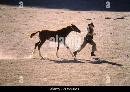 Chase Moore, 'Running Free' (2000) Columbia Pictures. Bildquelle: Umberto Adaggi/Columbia Pictures/The Hollywood Archive - Aktenzeichen # 34082-791THA Stockfoto