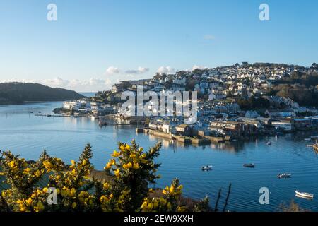 Salcombe, Süd Devon, Blick vom Snape Point Stockfoto