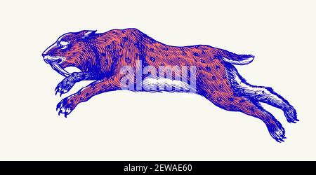 Säbelzahntiger oder Katze oder Smilodon. Prähistorische Säugetiere. Ausgestorbenes Tier. Vintage Retro Vektor Illustration. Doodle-Stil. Handgezeichnet graviert Stock Vektor