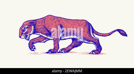 Europäischer Höhlenlöwe. Panthera spelaea. Ausgestorbenes Steppentier. Vintage Retro Vektor Illustration. Doodle-Stil. Handgezeichnete gravierte Skizze Stock Vektor