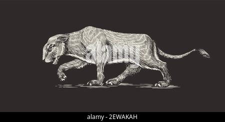 Europäischer Höhlenlöwe. Panthera spelaea. Ausgestorbenes Steppentier. Vintage Retro Vektor Illustration. Doodle-Stil. Handgezeichnete gravierte Skizze Stock Vektor