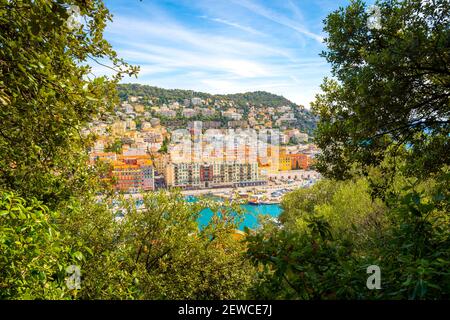 Blick durch die Bäume auf dem Burghügel des alten Hafenhafens von Nizza, Frankreich, an der französischen Riviera. Stockfoto