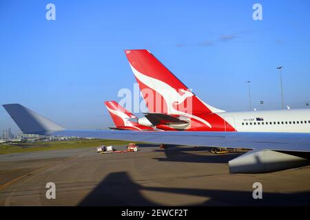 Qantas Airways in Brisbane International Airport, Australien. Stockfoto