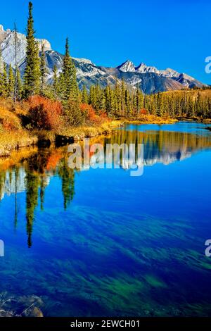 Ein vertikales Naturbild mit atemberaubenden Herbstfarben um ein Teich von ruhigem Wasser mit einem Berghintergrund in Jasper Nationalpark in Alberta Kanada Stockfoto