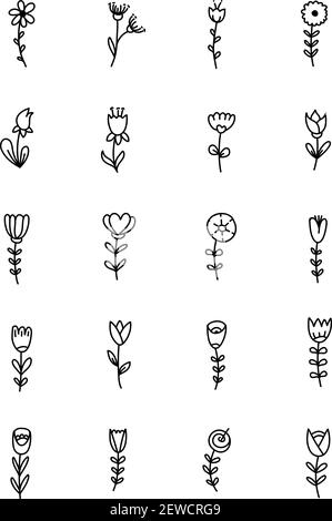 Botanik Blumen, Illustration, Vektor auf weißem Hintergrund. Stock Vektor