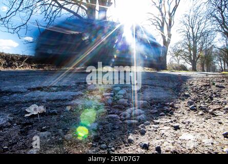 Gottesgabe, Deutschland. Februar 2021, 26th. Ein Auto fährt in einer Allee an einem Schlagloch vorbei. Das eisige Wetter der letzten Wochen sorgt für durchbrochene Straßen mit tiefen Schlaglöchern. Quelle: Jens Büttner/dpa-Zentralbild/dpa/Alamy Live News Stockfoto