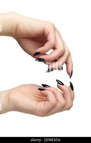 Weibliche Hände mit schwarzen Nägeln Maniküre. Isoliert auf weißem Hintergrund. Stockfoto
