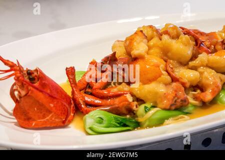 Ein köstliches chinesisches kantonesisches Gericht, gebackene Hummerwürfel mit Käse Stockfoto