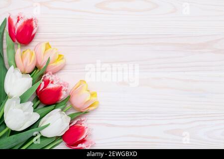 Happy Birthday Rahmenbordüre, Tulpenstrauß auf weißem Holzhintergrund, Blumengrußkarte, bunte festliche Vorlage mit Kopierraum. Feder c Stockfoto