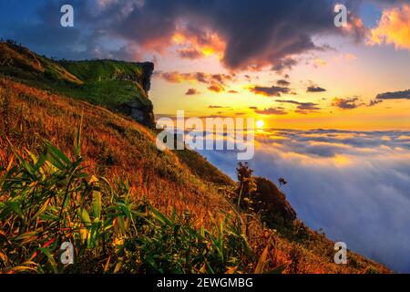 Phu Chi fa und Nebel bei Sonnenaufgang in der Provinz Chiang rai, Thailand. Stockfoto