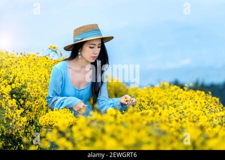 Hübsches Mädchen genießen in Chrysanthemen Feld in Chiang Mai, Thailand. Stockfoto