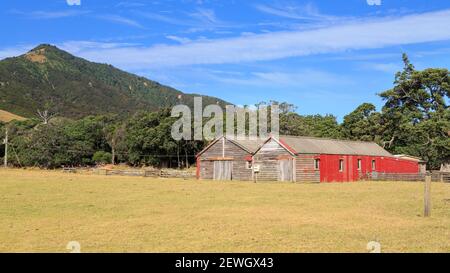 Alte Holz- und Wellblech-Scheunen auf Ackerland auf der Coromandel-Halbinsel, Neuseeland Stockfoto