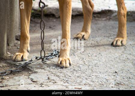 Fragment mit einer Kette. Vorderansicht und Draufsicht. Stockfoto