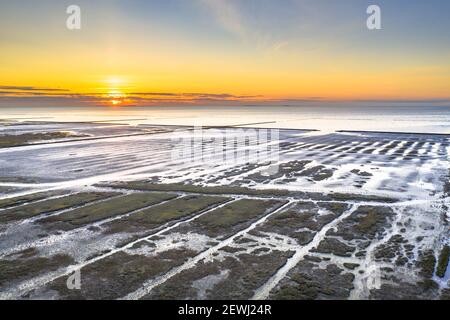 Luftaufnahme über Salzsumpfebenen an der Wattenmeerküste. Uithuizen, Provinz Groningen. Stockfoto