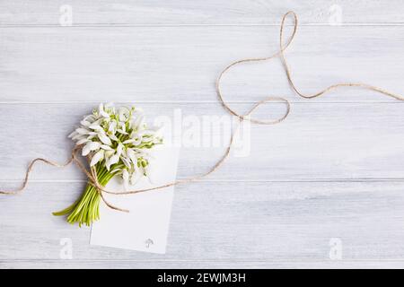 Galanthus ist eine kleine mehrjährige krautige Pflanze aus der Familie der Amaryllidaceae. Bündel Galanthus mit einem leeren Stück Papier, flach liegend, Draufsicht Stockfoto