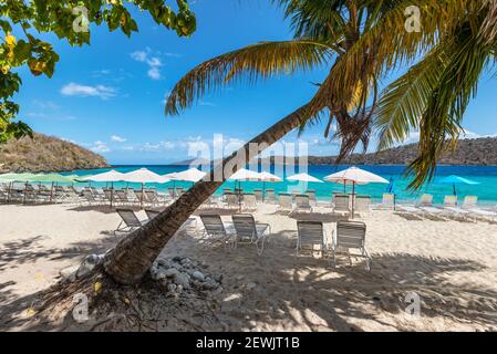 Gruppe Liegestühle zum Entspannen und Sonnenbaden unter Sonnenschirmen und Palmen an einem Sandstrand karibik Meer. Reisekonzept Für Sommerurlaub.