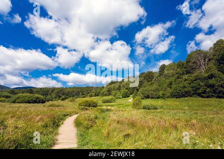 Schöne Landschaft Foto im polnischen Bieszczady Berge im Sommer aufgenommen. Weg von Ustrzyki über Carynska Meadow nach Brzegi, Bieszczadzki Park Nar Stockfoto