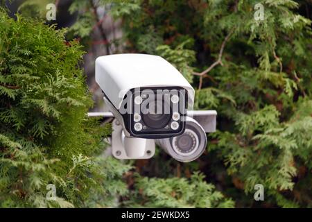 Verdeckte Videoüberwachung. CCTV-Überwachungskamera oder Radar zur Überwachung der Geschwindigkeit von Autos zwischen den Bäumen montiert. Videoausrüstung für Sicherheitssystem A Stockfoto