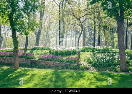 Gulhane Park ist ein historischer Stadtpark in Istanbul, Türkei. Stockfoto