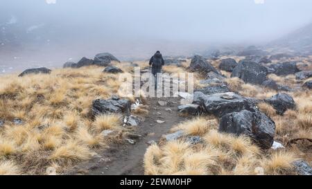 Annapurna, Nepal - 09. November 2018: Tourist auf dem Weg zum Annapurna Basislager, Himalaya, Nepal. Stockfoto